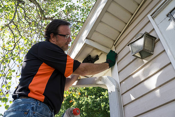 Best Hoarding Cleanup  in New Eagle, PA
